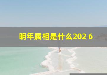 明年属相是什么202 6